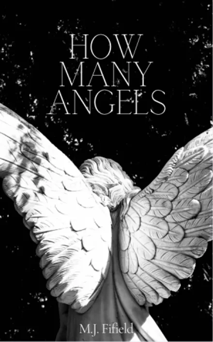 How Many Angels cover